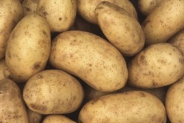 Картофель вес.(цена за 1кг) 2892